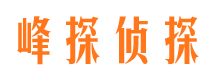 盘龙找人公司